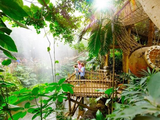 vakantiepark in Nederland met een zwembad, Center Parcs Het Heijderbos Subtropisch zwemparadijs